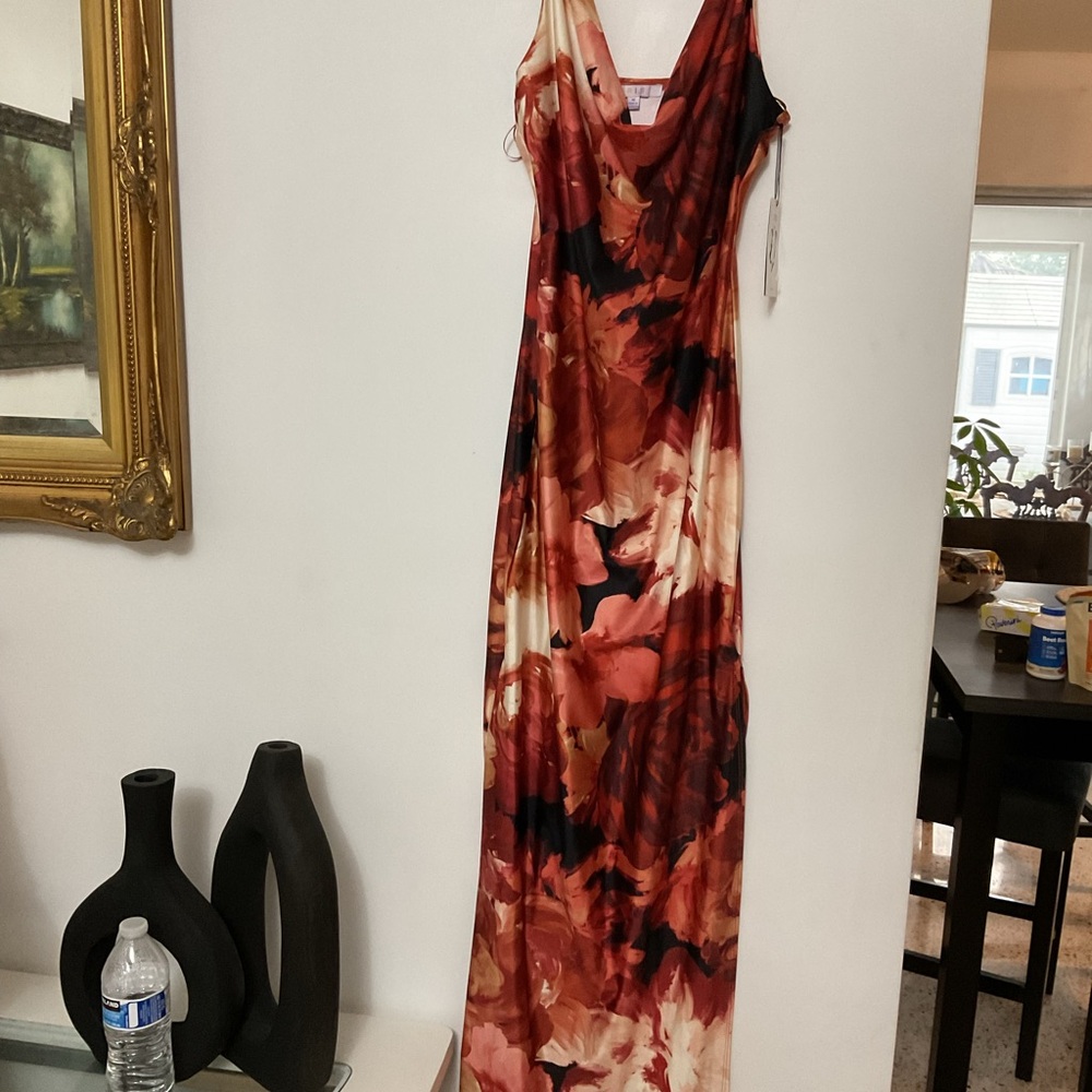 Iris dress Los Angeles Floral Cowl-Neck Maxi Dress
